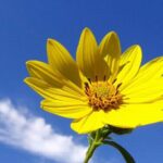 Michael Tomoff - Was Wäre Wenn - Positive Psychologie und Coaching - Routine