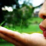 Was Wäre Wenn - Positive Psychologie und Coaching Bonn - loslassen
