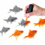 Positive Psychologie und Coaching machen Ihr Leben bunter